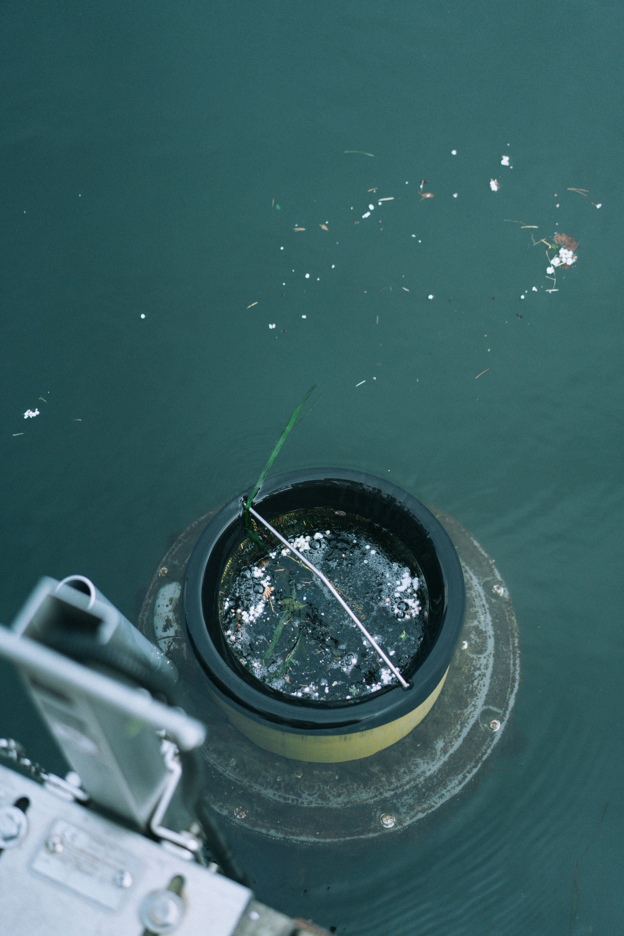 Seabin Project Blue Friday